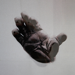 Minutiae